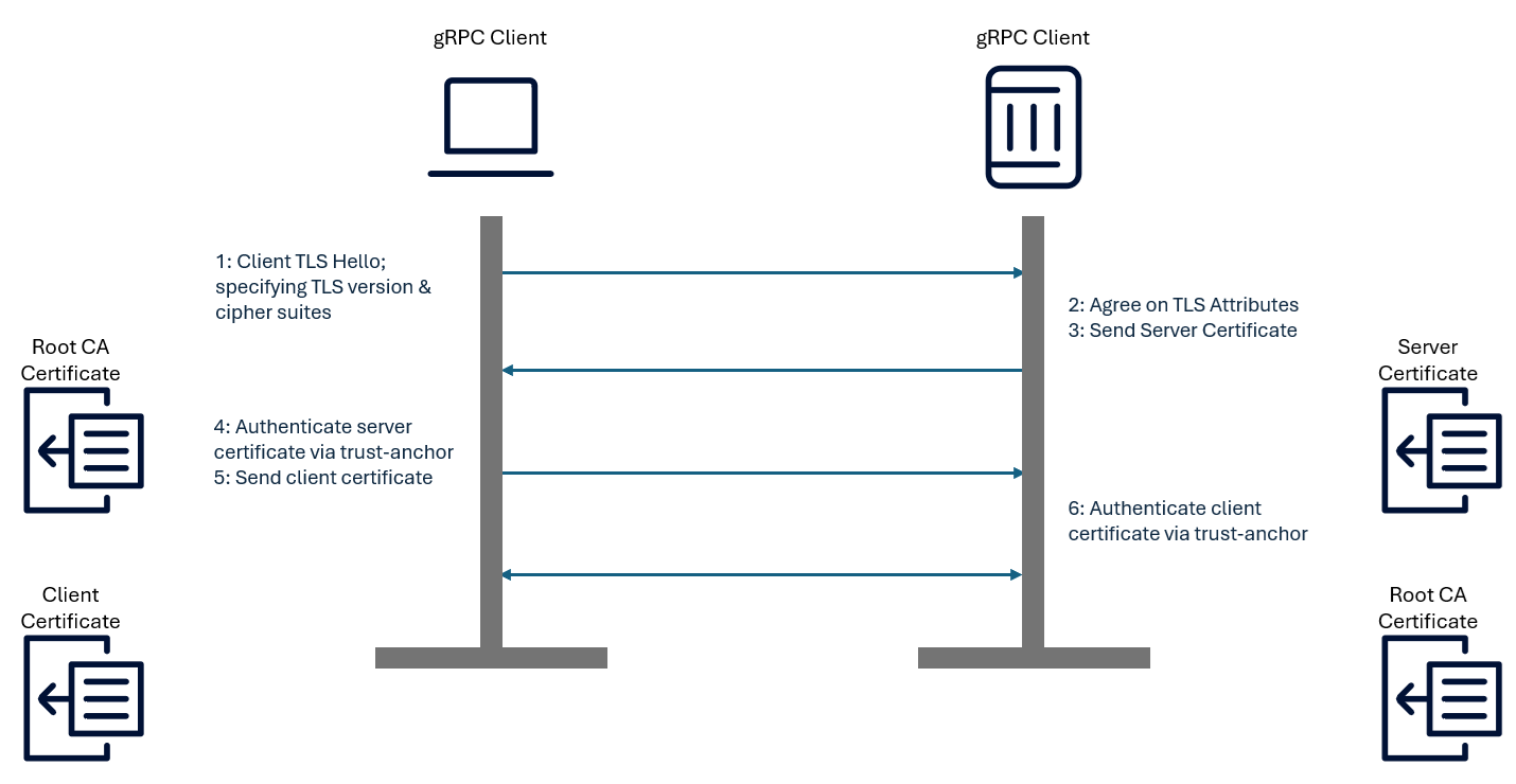 Fig. 1 - mTLS concept