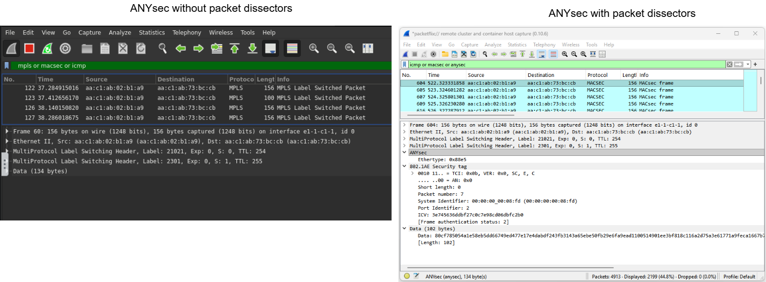 Fig. 4 - ANYSec packet dissector